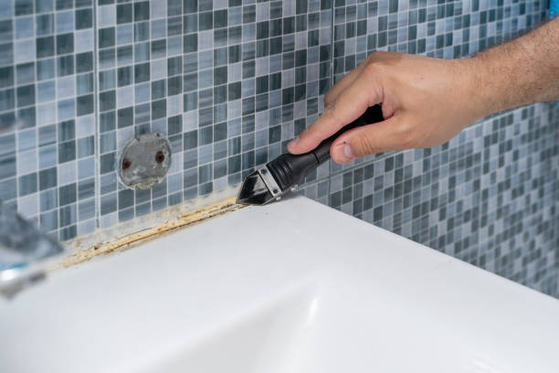 Best Mold Cleaning Services  in Pandora, OH